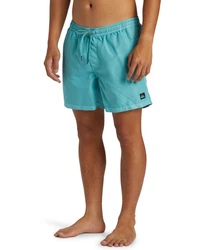 Quiksilver Boardshorts Everyday Surfwash Volley Blau/Türkis/Grün