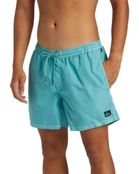 Quiksilver Boardshorts Everyday Surfwash Volley Blau/Türkis/Grün