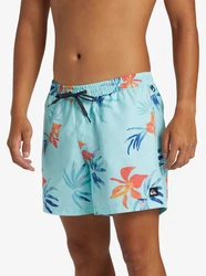 Quiksilver Boardshorts Everyday Mix Volley Blau