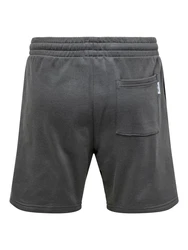 ONLY & SONS Shorts Dunkelgrau/Grau