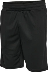 hummel Shorts Hmlte Flex Mesh Shorts Schwarz/Dunkelgrau