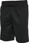 hummel Shorts Hmlte Flex Mesh Shorts Schwarz/Dunkelgrau