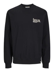 Jack & Jones JORNOTO SWEAT CREW NECK Sweatshirt Grün/Braun/Schwarz/Dunkelblau