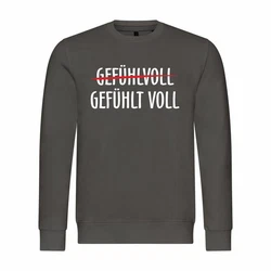 deinshirt Kapuzenpullover Herren Pullover Dunkelgrau/Grau