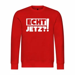 Kapuzenpullover Herren Pullover Echt jetzt Mit Print Motiv
