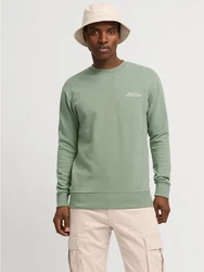 JACK & JONES Sweatshirt JJBEAU Grün/Hellgrün/Dunkelgrün