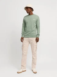 JACK & JONES Sweatshirt JJBEAU Grün/Hellgrün/Dunkelgrün