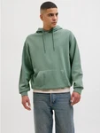 Jack & Jones Kapuzensweatshirt JJECHARGE FADED SWEAT HOOD Grün/Hellgrün