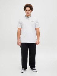 Jack & Jones Plus T-Shirt 'JORISLINGTON' Grau/Weiß/Hellgrau/Silber/Khaki