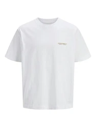 Jack & Jones Plus T-Shirt 'JORISLINGTON' Grau/Weiß/Hellgrau/Silber/Khaki
