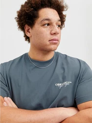 Jack & Jones Plus T-Shirt 'JORISLINGTON' Grau/Dunkelgrau/Hellgrau/Dunkelgrün