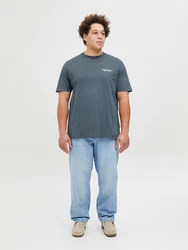 Jack & Jones Plus T-Shirt 'JORISLINGTON' Grau/Dunkelgrau/Hellgrau/Dunkelgrün