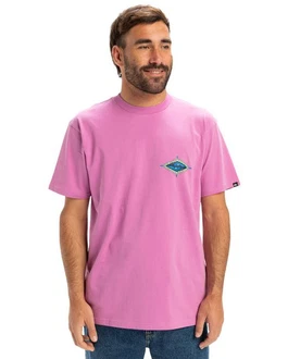 Quiksilver T-Shirt EV Beach Blast Quiksilver T-Shirt EV Beach Blast