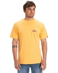 Quiksilver T-Shirt Ev Mini Logo Gelb/Gold