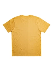 Quiksilver T-Shirt Scholarship 