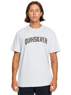 Quiksilver T-Shirt Scholarship Silber/Grau