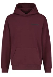 SUBLEVEL Worldwide Hoodie 
