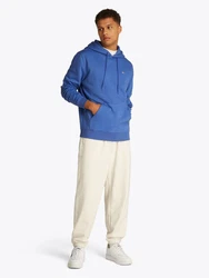 Tommy Jeans Sweatshirt TJM REG S FLAG HOODIE Blau/Hellblau
