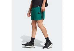 Adidas Sportswear Essentials Chelsea Shorts Grün/Dunkelgrün