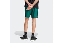 Adidas Sportswear Essentials Chelsea Shorts Grün/Dunkelgrün