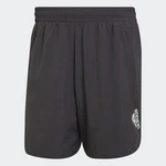 adidas Performance AEROREADY DESIGNED FOR MOVEMENT SHORTS Dunkelgrau/Grau/Schwarz