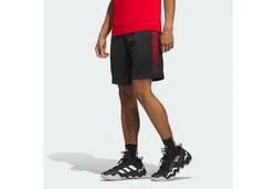 adidas Performance Sweatshorts LEGENDS BASKETBALL SHORTS Rot/Grau/Schwarz