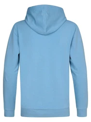 Petrol Industries Sweatshirt 'Driftwood' 