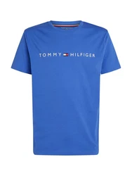 Tommy Hilfiger Underwear T-Shirt mit Logo Blau/Hellblau/Dunkelblau