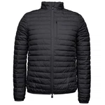SAVE THE DUCK Steppjacke Cole Herren 