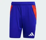 adidas Performance TIRO 24 COMPETITION TRAININGSSHORTS Blau/Mischfarben/Lila/Creme/Hellblau