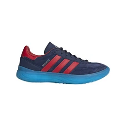 Hallenschuh