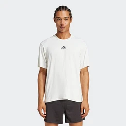 T-Shirt D4T INT. TEE