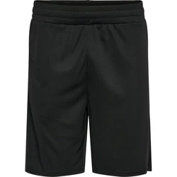 hummel Shorts hmlTE FLEX MESH SHORTS Schwarz/Dunkelgrau