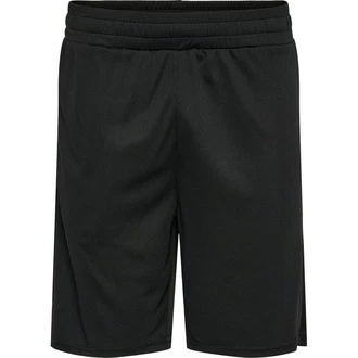 hummel Shorts hmlTE FLEX MESH SHORTS Schwarz/Dunkelgrau