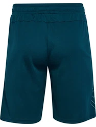 hummel Shorts hmlTE FLEX MESH SHORTS Türkis/Grün