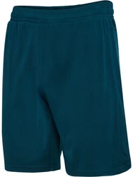 hummel Shorts hmlTE FLEX MESH SHORTS Türkis/Grün