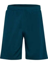 Shorts hmlTE FLEX MESH SHORTS (0-tlg)