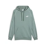 PUMA Hoodie Sport Herren Grün/Hellgrün
