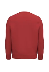 FYNCH-HATTON Strickpullover 