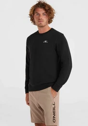 Sweatshirt Small Logo Crew Sweatshirt