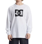DC Shoes Langarmshirt DC Star Hls Creme/Weiß/Grau
