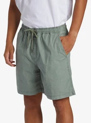 Quiksilver Bermudas Taxer Dunkelgrün/Khaki/Grün