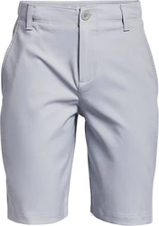 Under Armour Shorts UA Golf Shorts Grau/Hellblau/Blau