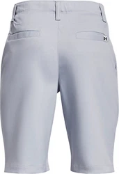 Under Armour Shorts UA Golf Shorts Grau/Hellblau/Blau
