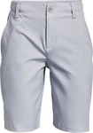 Under Armour Shorts UA Golf Shorts Grau/Hellblau/Blau