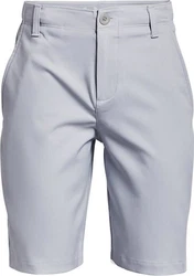 Under Armour Shorts UA Golf Shorts Grau/Hellblau/Blau