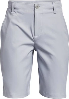 Under Armour Shorts UA Golf Shorts Grau/Hellblau/Blau