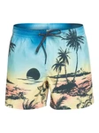 Quiksilver Badehose Boardshorts Everyday Paradise 