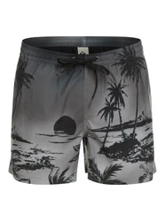 Quiksilver Badehose Boardshorts Everyday Paradise Grau/Dunkelgrau/Schwarz/Dunkelgrün