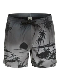 Boardshorts Everyday Paradise 15